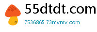 55dtdt.com